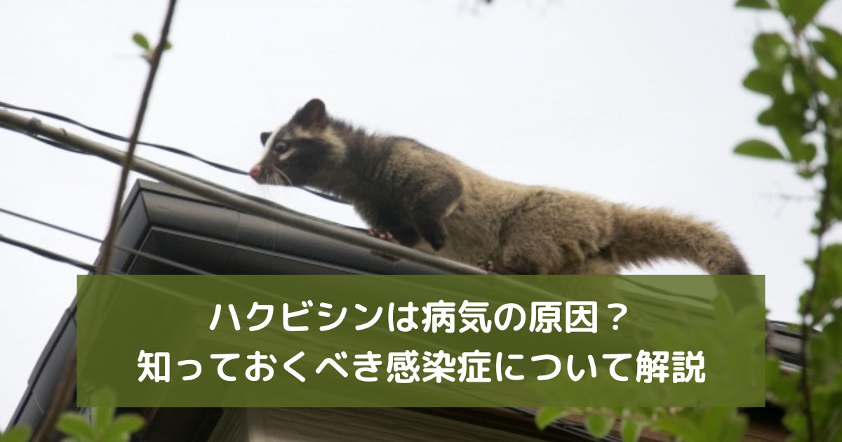 統合失調症の種類